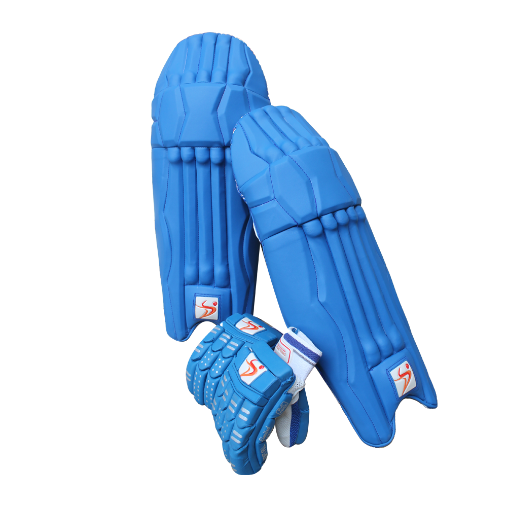 cricket safety gear DS Blue Cricket Pads & Gloves Set