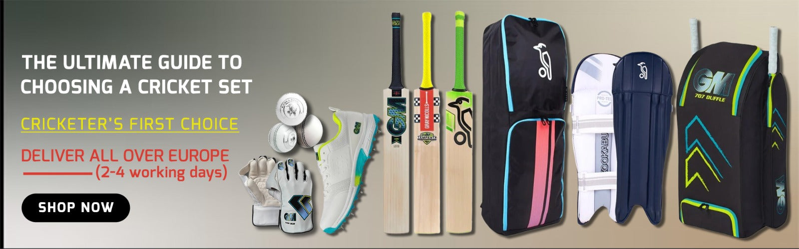 The ultimate guide to choosing a cricket set, showing a kid with a plastic kit and a junior player with a wooden cricket bat.