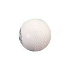 Wind Cricket Ball White