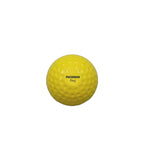 Paceman Reg Hard Ball Eimer (48 Bälle)