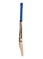 CA PRO 12000 English Willow Cricket Bat