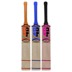 4 Band Player Edition Soft Ball Cricket Bat