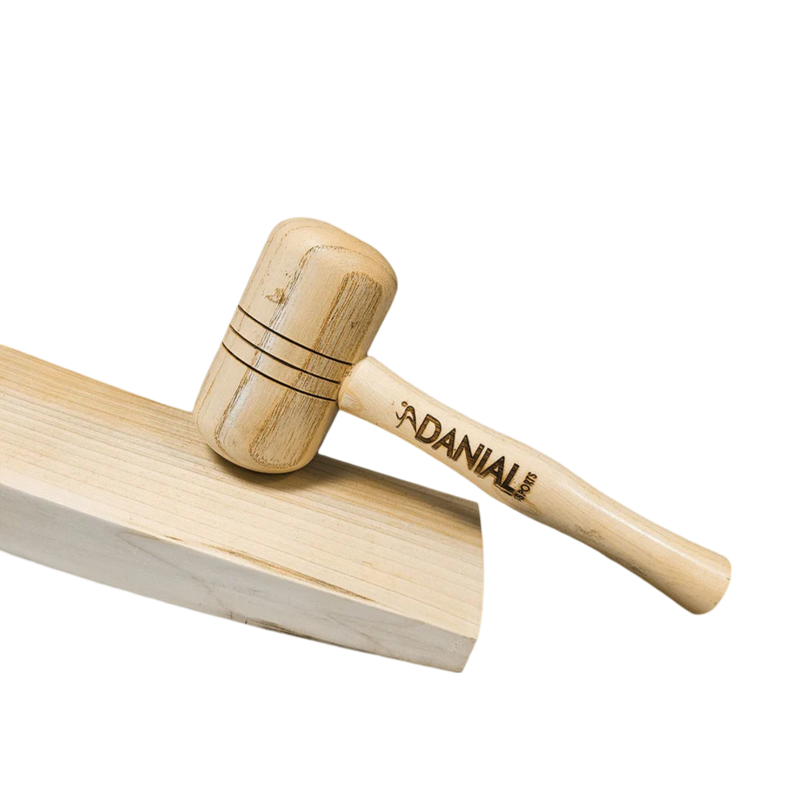 DS Cricket Mallet