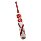 AA Rawlakoti Tape ball cricket bat
