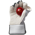 Gunn & Moore Aion Wicketkeeping Gloves