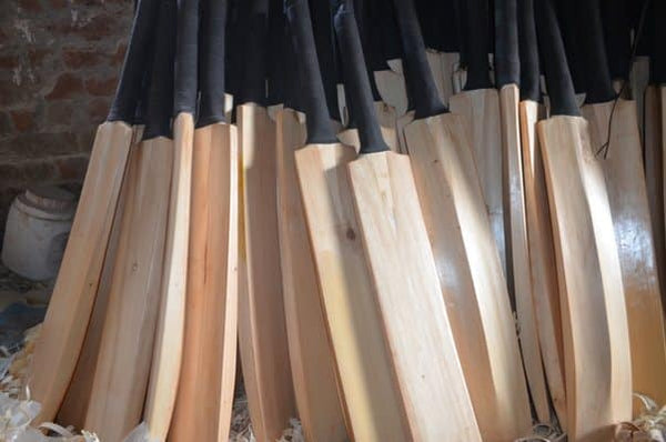 PLAN Cricket  Bat 7+ GRAIN