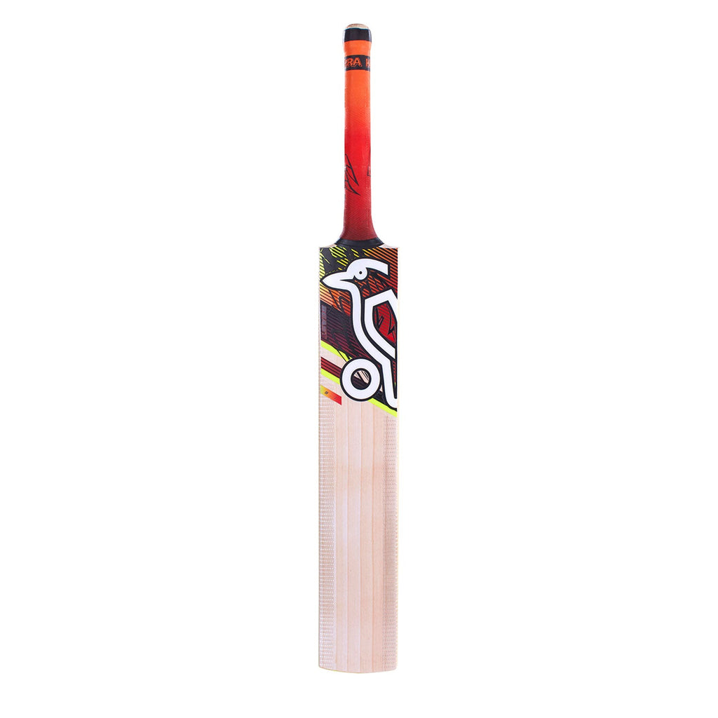 Kookaburra Beast 9.1 Kashmir willow Junior Cricket Bat