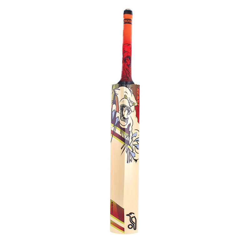 Kookaburra Beast 9.1 Kashmir willow Cricket Bat