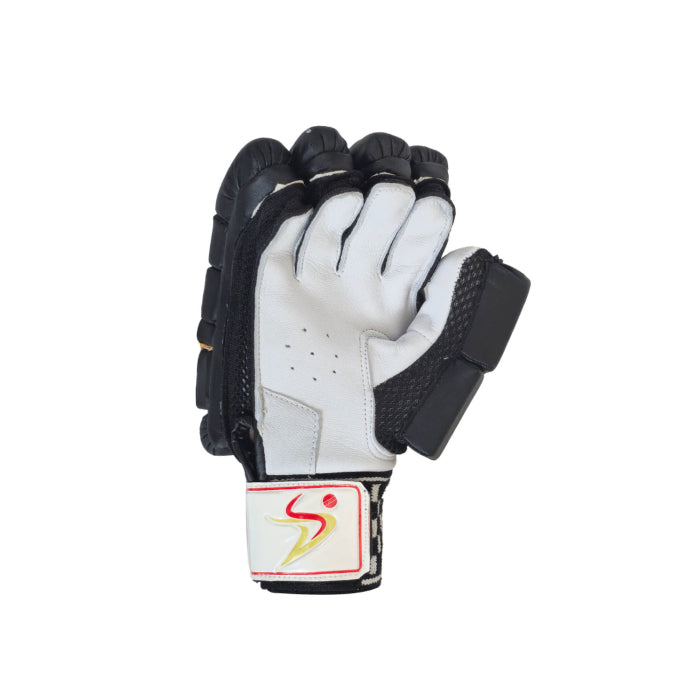 Ds 1.0 Black Cricket Batting Gloves