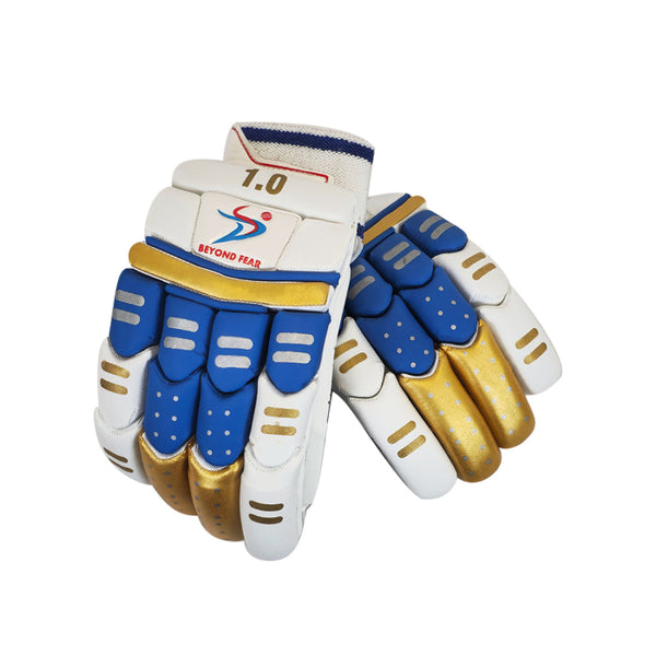 Ds 1.0 Blu/gld Cricket Batting Gloves