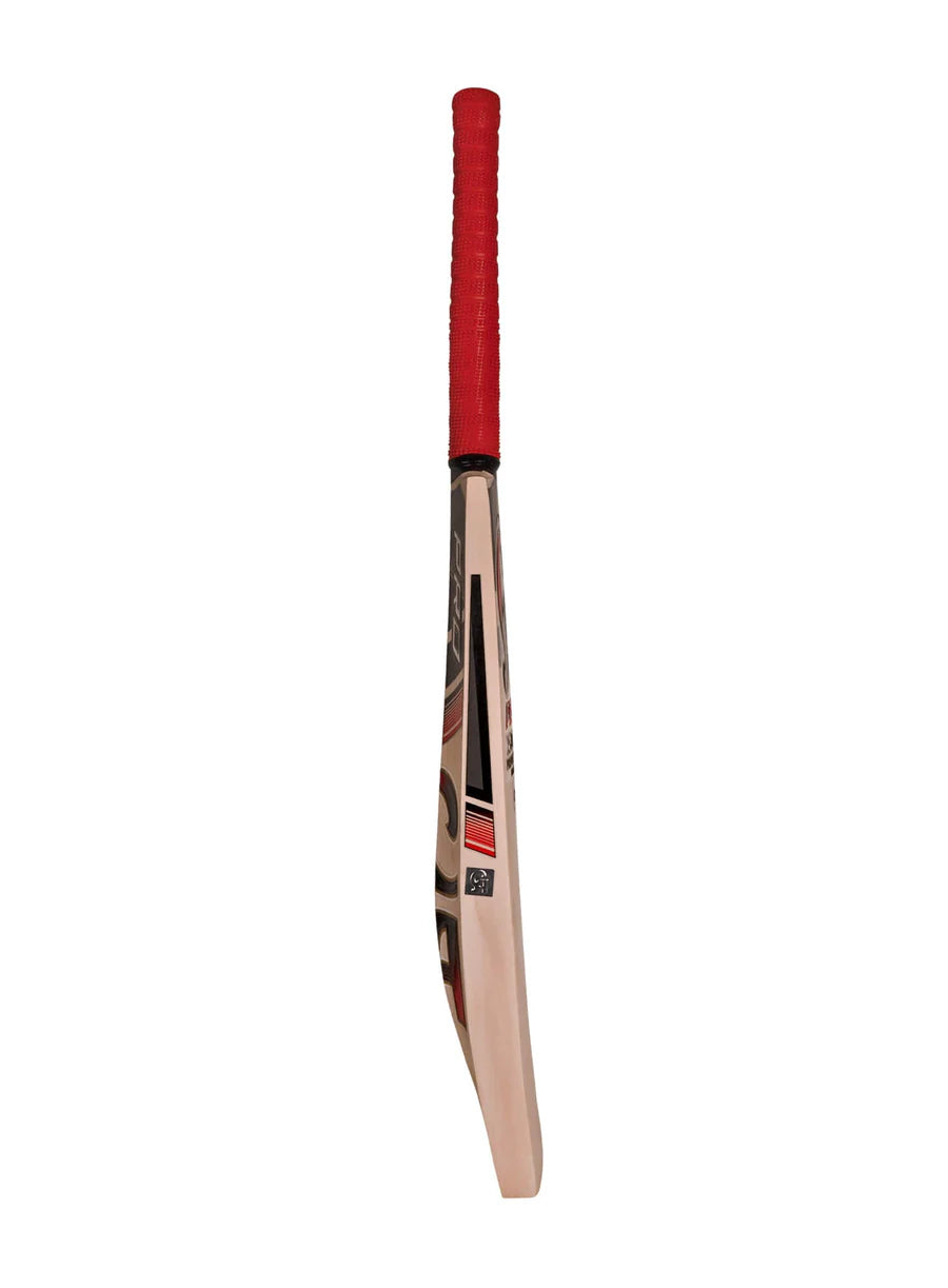 CA Pro 15000 Performance Edition English Willow Cricket Bat