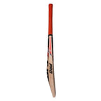 CA PRO 3000 Cricket-Schläger