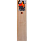 CA Charge English Willow Cricket Bat