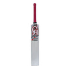 CA Pro froce 12000 tape ball cricket bat
