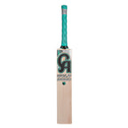 CA Gold 8000 English Willow Cricket Bat
