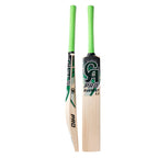 CA Pro Everest 1.1 Pakistan Willow Cricket Bat