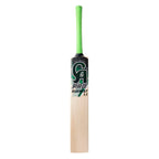CA Pro Everest 1.1 Pakistan Willow Cricket Bat