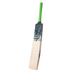 CA Pro Everest 1.1 Pakistan Willow Cricket Bat