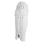 CA Pro 10000 Batting Pads