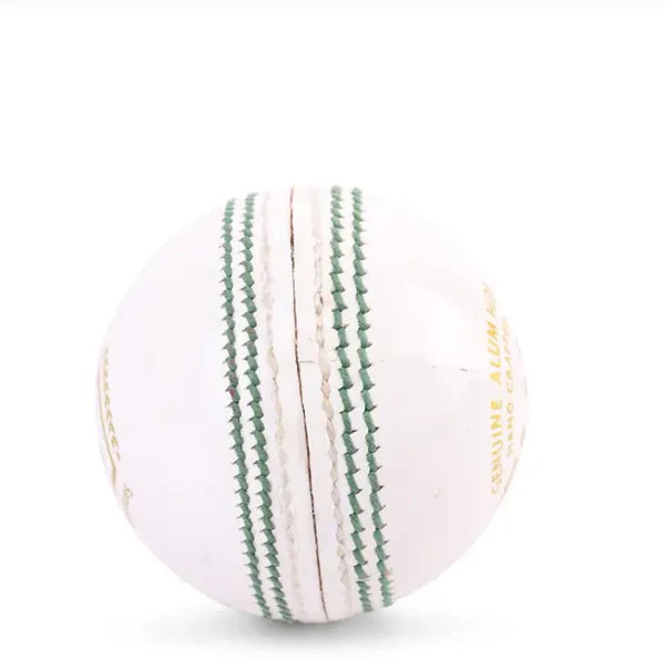 SG Club™ Cricket Leather Ball White