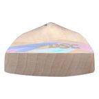 Dsc Condor Motion English Willow Cricket Bat 2025