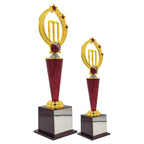 Power Play Cricket Trophy