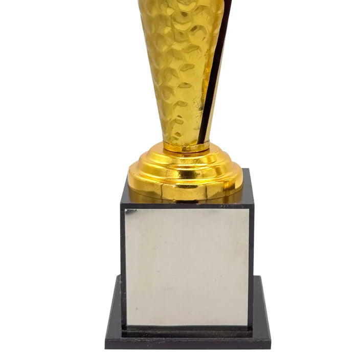 Crystal Gold Cricket Trophy
