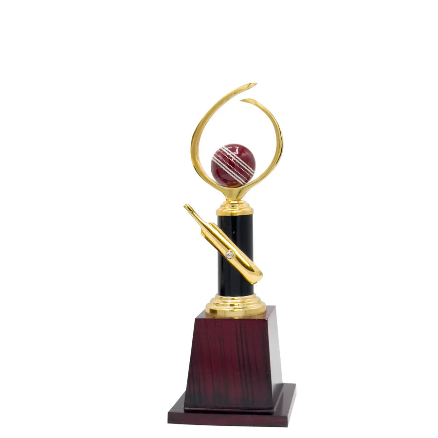Pro Cricket Trophy -272 shown next to a cricket ball and bat, providing clear scale and highlighting its substantial, champion-sized presence.