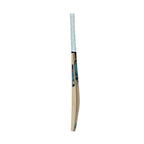 Gunn & Moore DIAMOND 101 Kashmir willow Cricket Bat