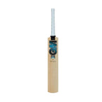 Gunn & Moore DIAMOND 101 Kashmir willow Cricket Bat