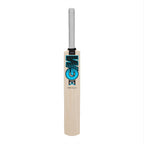 Gunn und Moore Diamond Cricket Set