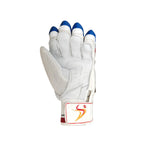 Gants de frappe DS pour jeunes (rouge/argent/bleu)