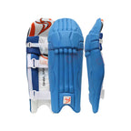 Ds Junior Cricket Set