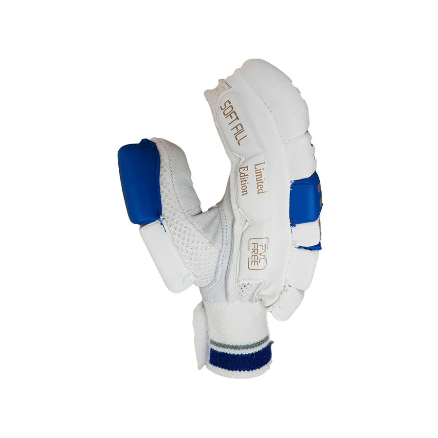 Ds D 1.0 Batting Gloves  Youth ( silver/blu)