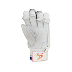 Ds D 1.0 Batting Gloves  Youth ( silver/blu)