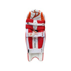 DS Red Cricket Pads & Gloves Set