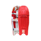 DS Red Cricket Pads & Gloves Set