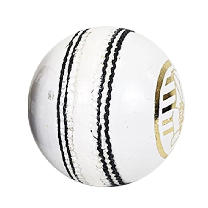 DS Indoor Cricket Ball White