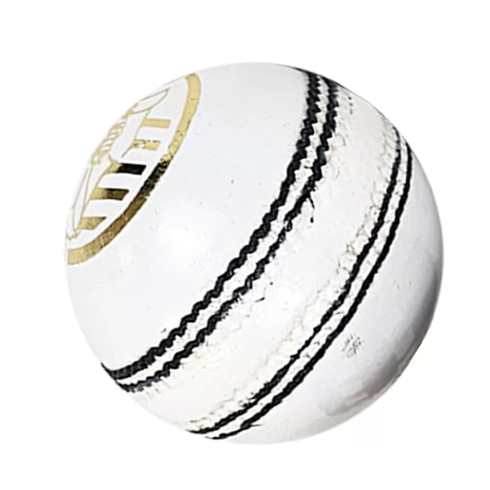 DS Indoor Cricket Ball White