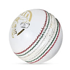 DS Indoor Cricket Ball (Pack of 6)