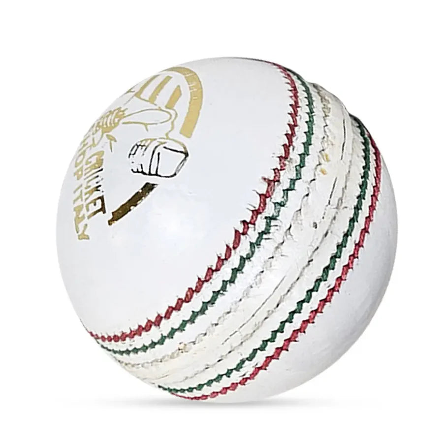DS Indoor Cricket Ball (Pack of 6)