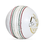 DS Indoor Cricket Ball (Pack of 6)