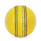 DS Indoor Cricket Ball (Pack of 6)