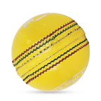 DS Indoor Cricket Ball (Pack of 6)