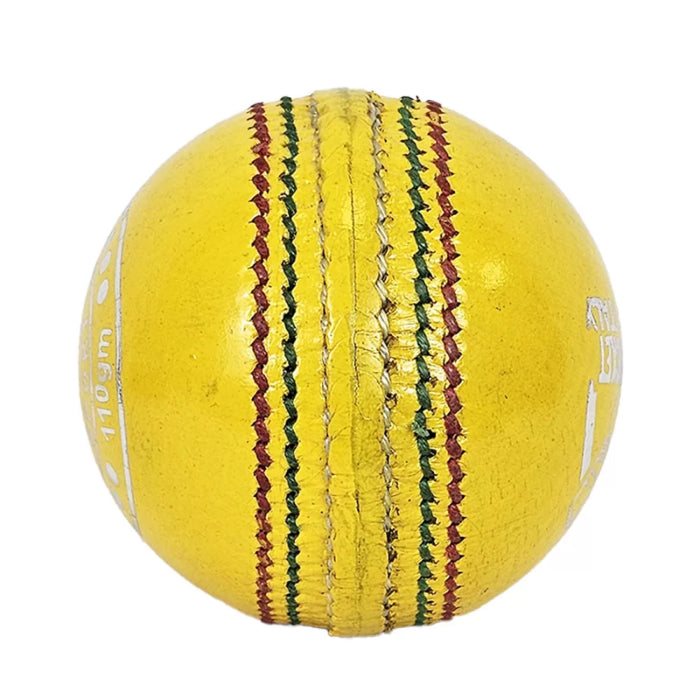 DS Indoor Cricket Ball (Pack of 6)