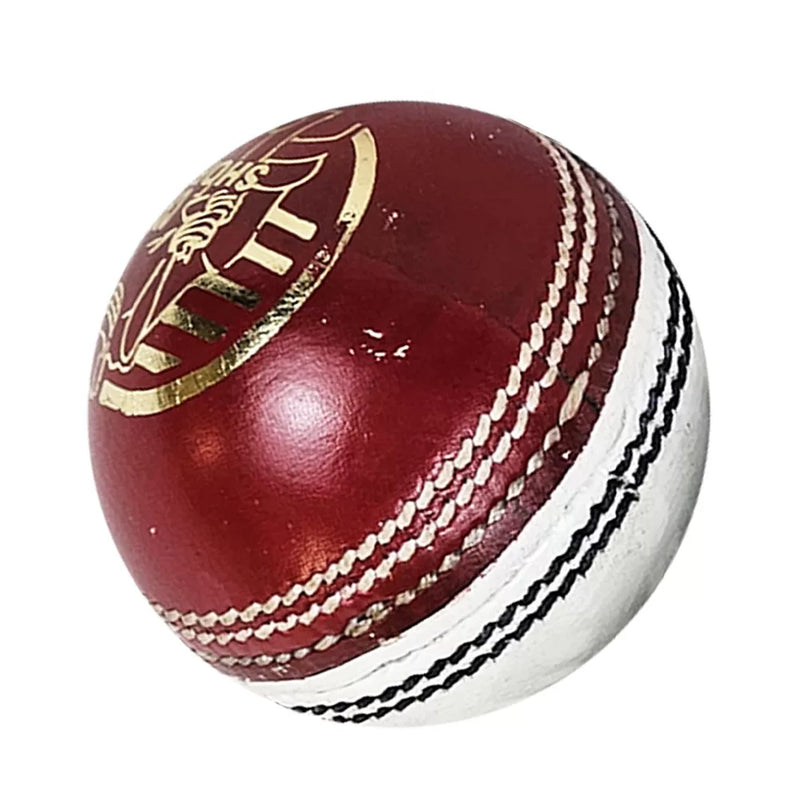 DS Practice Red / white Cricket Ball