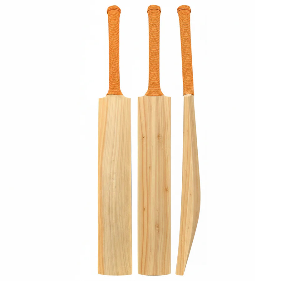 DS 1.0 Kashmir Willow Cricket Bat with premium Grade 1 willow and balanced short handle ready for play.
