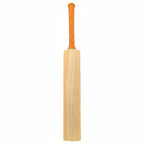 Cricket bat graphic: DS 1.0 Kashmir Willow model with sharp edges and classic cricket bat shape.