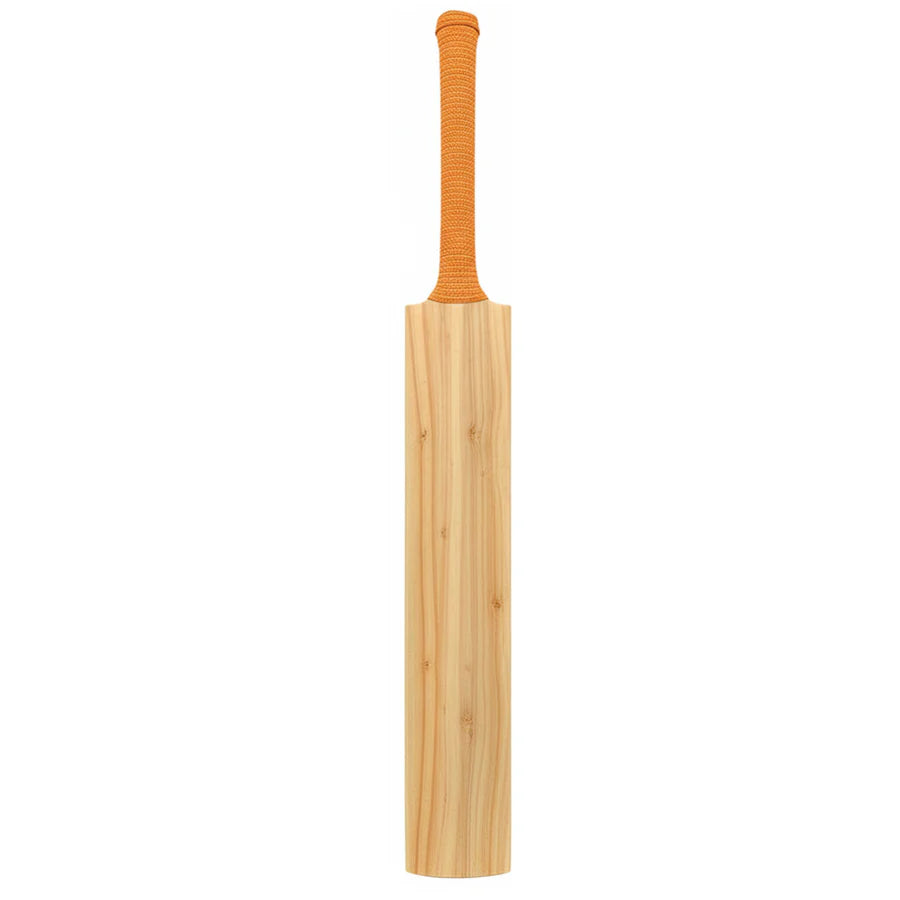 Close-up of the DS 1.0 Kashmir Willow Cricket Bat showcasing its traditional cane handle and light balanced profile.