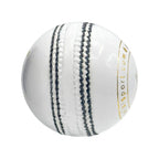 DS 40 Over Cricket Ball (12 Balls)